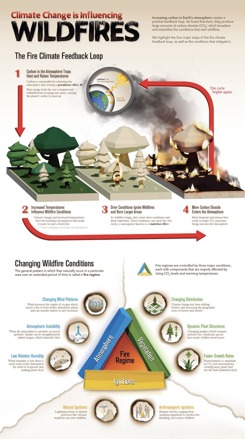 Climate Changes is Influencing Wildfires