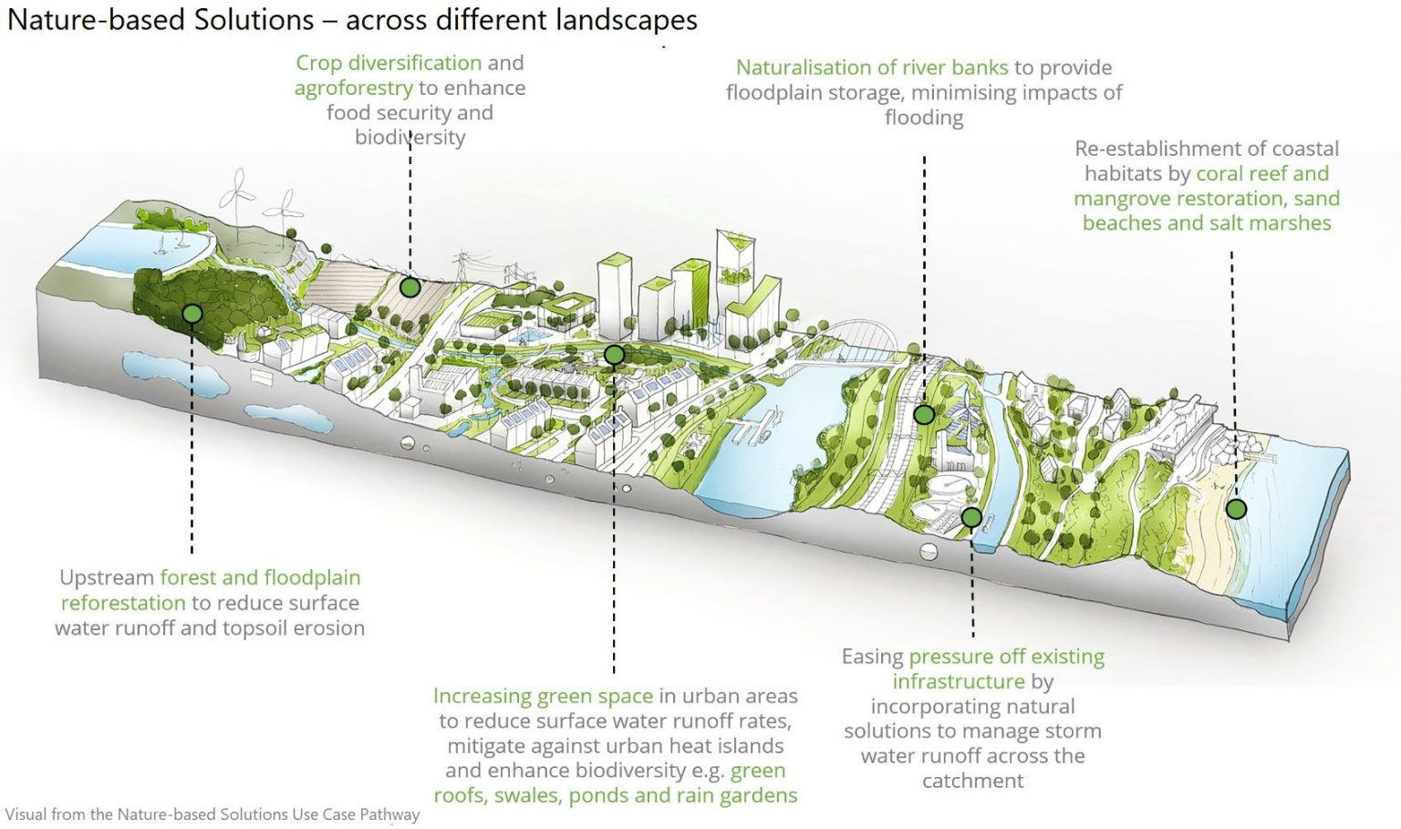 Infographic Nature Based Solutions Across Different LandScapes