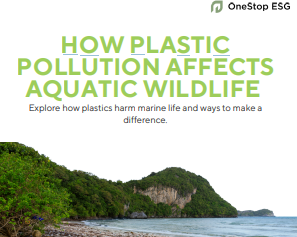 How plastic pollution affects aquatic wildlife -